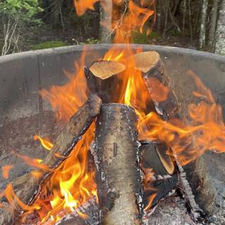 Autumn campfire wallpaper