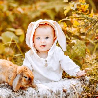 Rabbit autumn wallpaper