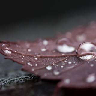 4k resolution desktop wallpaper