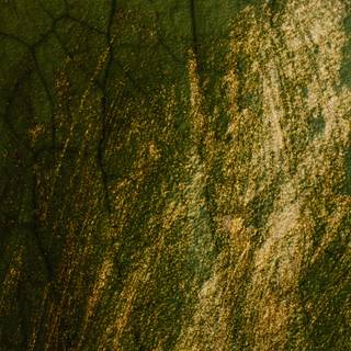 Green and gold 4k wallpaper