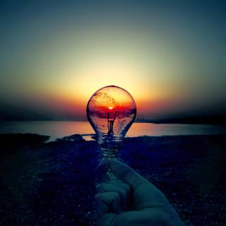 Nature in a lightbulb wallpaper