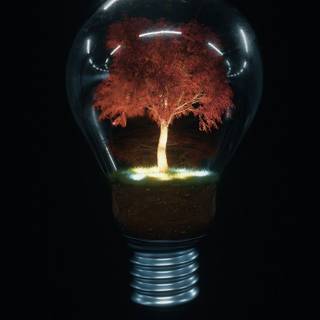 Light bulb phone wallpaper