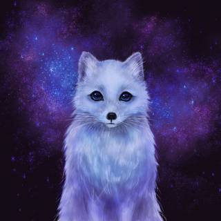 Cute artic fox wallpaper