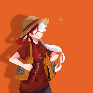 One Piece minimalist 4k wallpaper