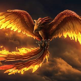 Phoenix bird 4k wallpaper