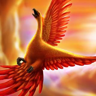 Phoenix bird 4k wallpaper