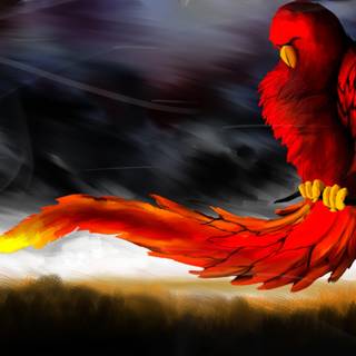 Phoenix bird 4k wallpaper