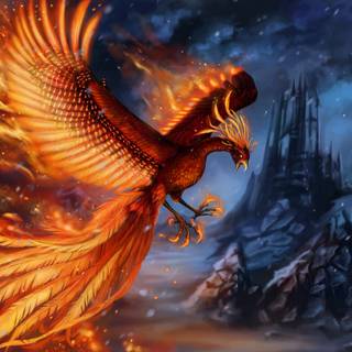 Phoenix bird 4k wallpaper