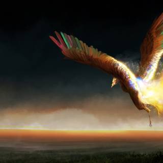 Phoenix bird 4k wallpaper
