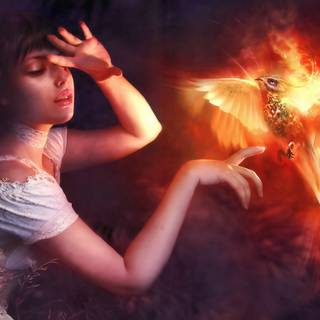 Phoenix bird 4k wallpaper