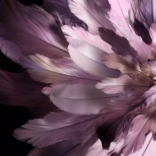 Oppo Find N3 Flip wallpaper