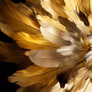 Oppo Find N3 Flip wallpaper