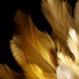 Oppo Find N3 Flip wallpaper