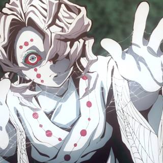 Rui Demon Slayer computer wallpaper