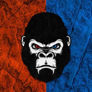 Cartoon gorilla wallpaper