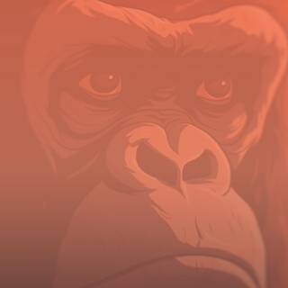 Cartoon gorilla wallpaper