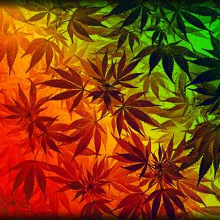 Cannabis desktop wallpaper