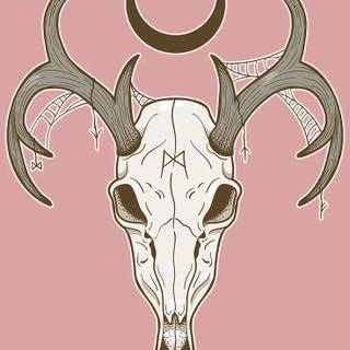 Anime skulls wallpaper