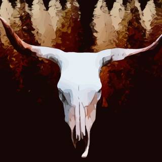 Anime skulls wallpaper