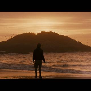 Into The Wild movie wallpaper