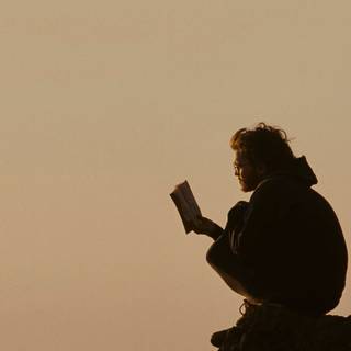 Into The Wild movie wallpaper