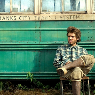 Into The Wild movie wallpaper