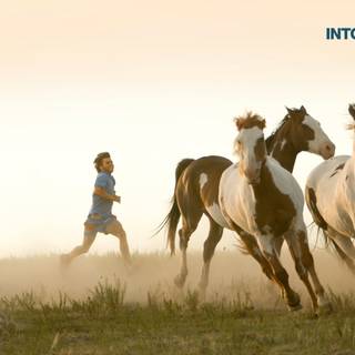 Into The Wild movie wallpaper