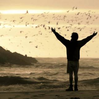 Into The Wild movie wallpaper