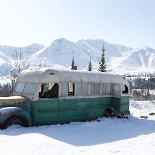 Into The Wild movie wallpaper