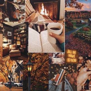 Desktop autumn aesthetic collage wallpaper