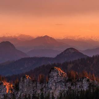 Twilight autumn wallpaper