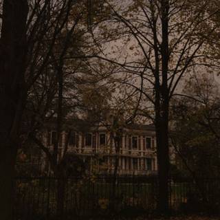 Autumn dark academia wallpaper