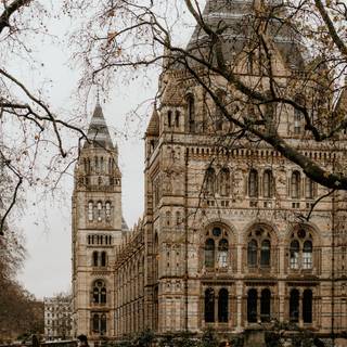 Autumn dark academia wallpaper