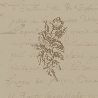 Autumn dark academia wallpaper