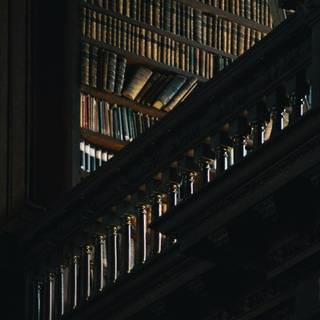 Autumn dark academia wallpaper