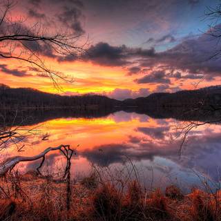 Twilight autumn wallpaper