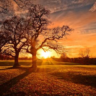 Twilight autumn wallpaper