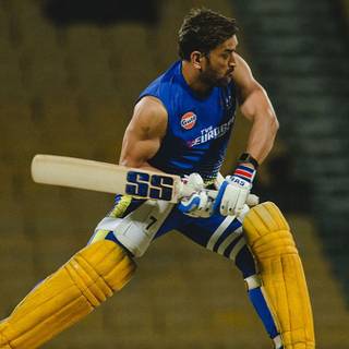 Cricket PC wallpaper