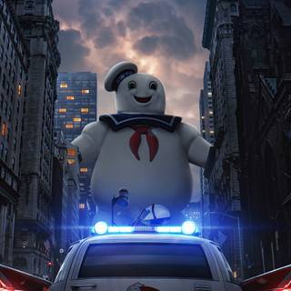 Ghostbusters 4k wallpaper