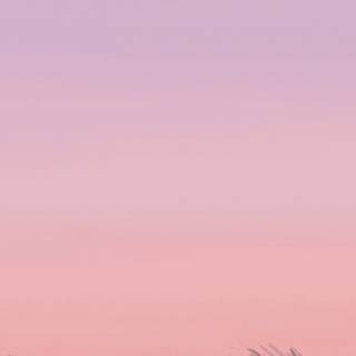 Pink 4k mobile wallpaper