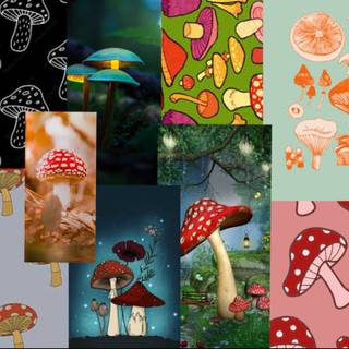 Mushroom collage wallpaper