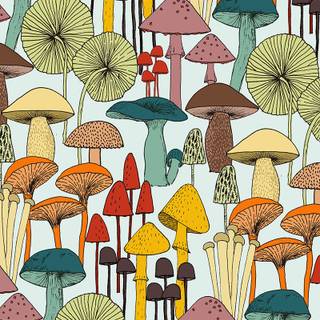 Mushroom collage wallpaper
