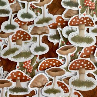 Mushroom collage wallpaper