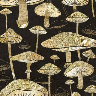 Mushroom collage wallpaper