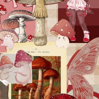 Mushroom collage wallpaper