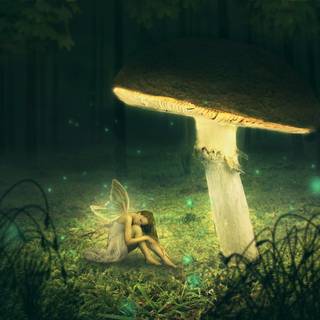 Mushroom collage wallpaper