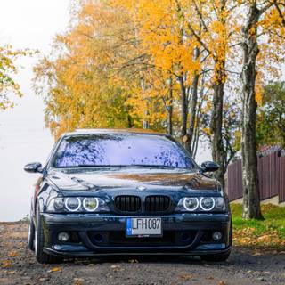 BMW 530D wallpaper