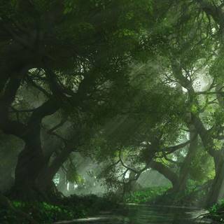 Art forest wallpaper