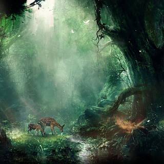Art forest wallpaper