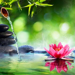 Bamboo water fountain wallpaper